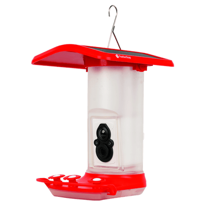 FeatherSnap Hummingbird Wi-Fi Camera | Solar Powered Smart Feeder with HD Video
