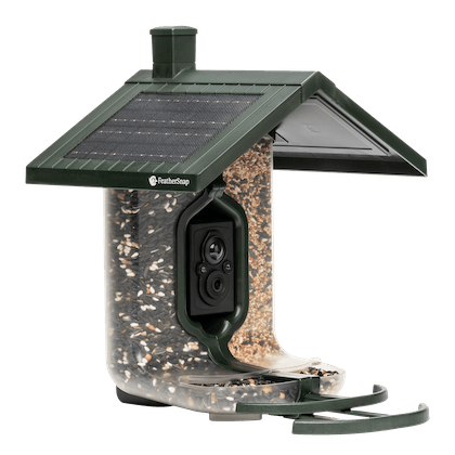 FeatherSnap Seed Wi-Fi Bird Feeder Camera | AI Species Recognition | Solar Powered