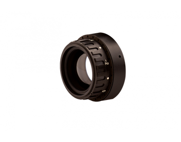 P.Willinckii Moonlight VP （OC） p.willinckii moonlight (vp） OC